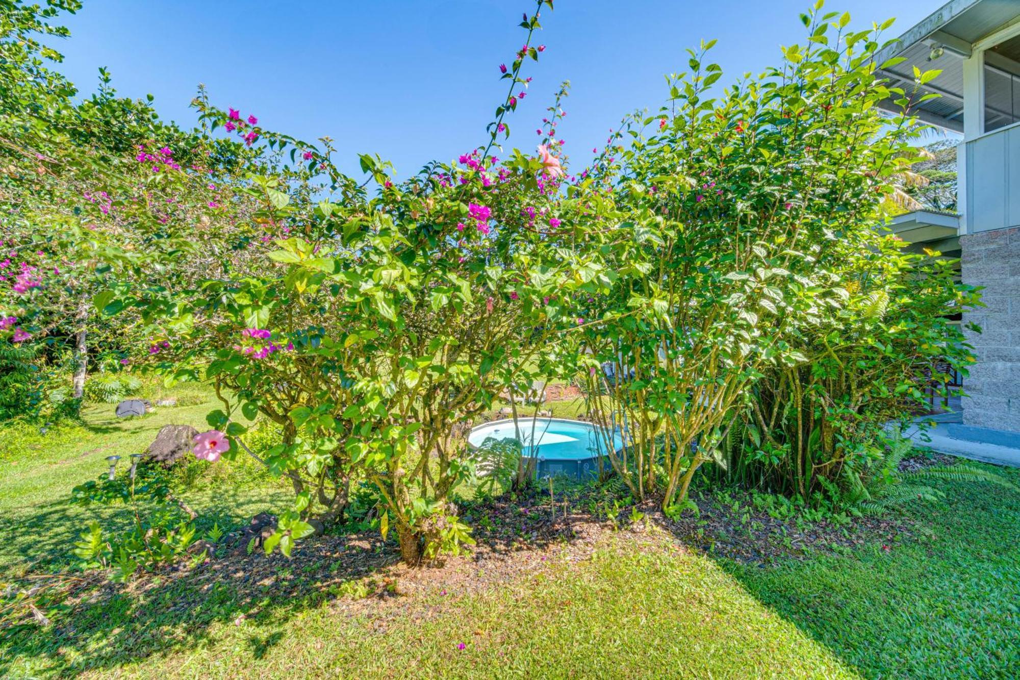 Keaau Apartment On Beautiful Acre With Pool And Deck! Extérieur photo