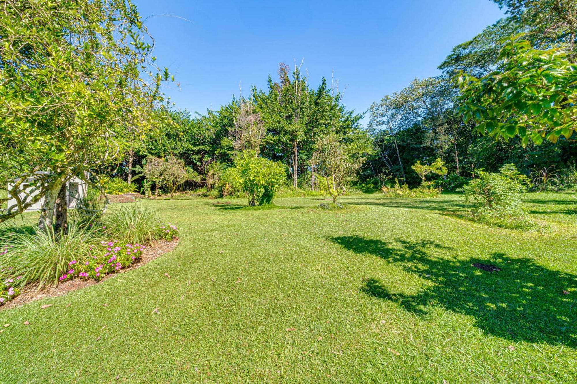 Keaau Apartment On Beautiful Acre With Pool And Deck! Extérieur photo